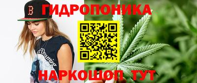 гидра Гусиноозёрск