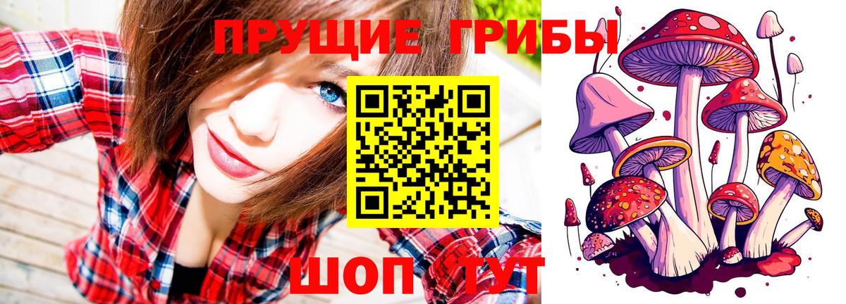 Псилоцибиновые грибы мицелий Ярославль