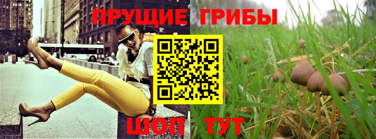 Псилоцибиновые грибы Magic Shrooms  Вход с VPN  Ярославль 